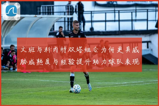 文班与科内特双塔组合为何更具威胁成熟度与经验提升助力球队表现