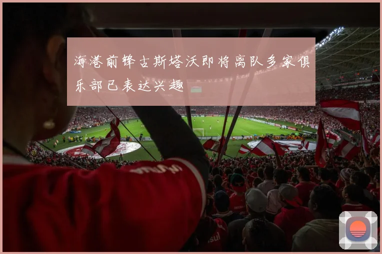 海港前锋古斯塔沃即将离队多家俱乐部已表达兴趣