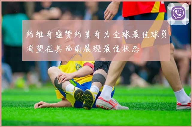 约维奇盛赞约基奇为全球最佳球员渴望在其面前展现最佳状态